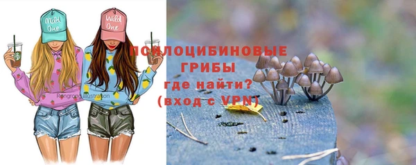 сатива Арсеньев