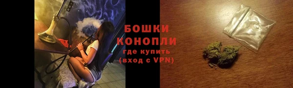 сатива Арсеньев